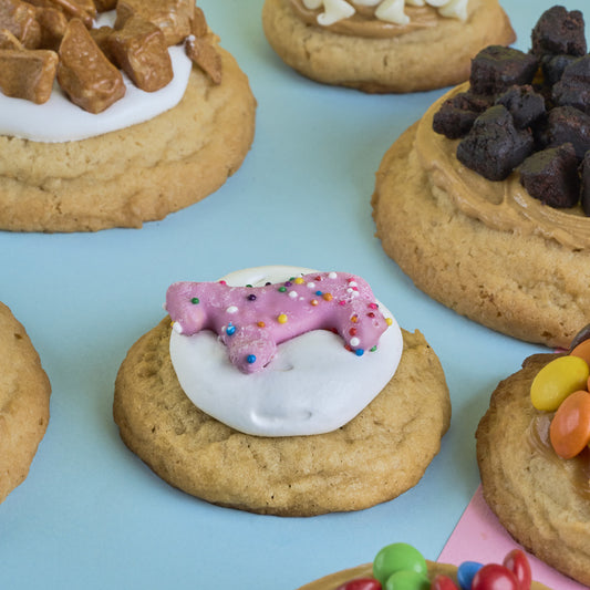 Frosted Animal Cookies